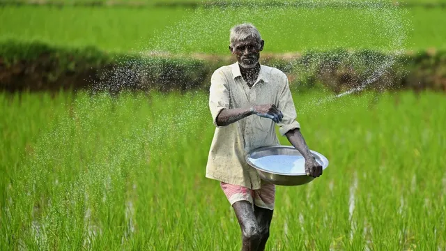 किसानों को बड़ी राहत, आठ नए यूरिया प्लांट को मजूरी; कहां-कहां लगाए जाएंगे?