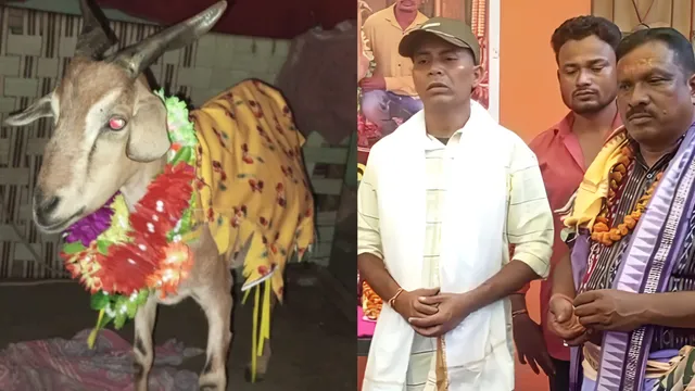 19 साल साथ रही पालतू बकरी की मौत पर मुंडन, ओडिशा की फैमिली ने 21वें दिन कराया मृत्युभोज