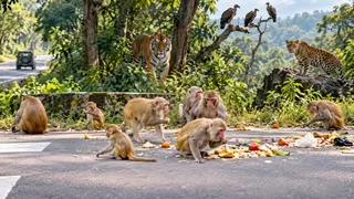 एआई इमेज
