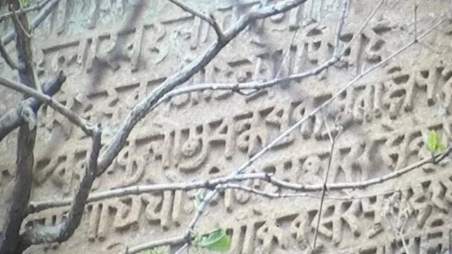200 साल से इतिहास के पन्नों में अनपढ़ था रोहतासगढ़ का शिलालेख, पतझड़ की तस्वीर ने खोल दिया 1607 का राज
