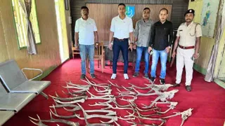 जलपाईगुड़ी में 142 किलो जब्त वन्यजीव अंग जलाए गए