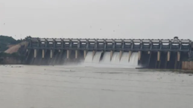 बाणसागर बांध के छह गेट लगातार दूसरे दिन खुले, सोन में 804 क्यूमेक्स पानी छोड़ा जा रहा