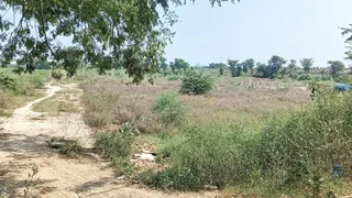 रोहतक-पानीपत हाईवे के पास जमीन जहां पर अवैध प्लाॅटिंग करने पर बुलडोजर चल चुका है। जागरण