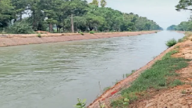 हरियाणा की 106 नहरों को मिलेगा 'जल कवच', मजबूती पर खर्च होंगे 2484 करोड़ रुपये
