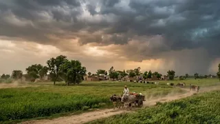 यह तस्वीर एआई द्वारा जनरेट की गई है।