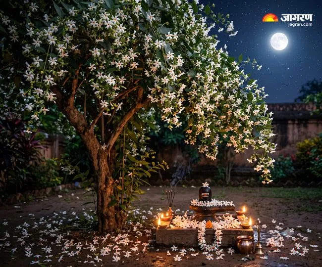 parijat flower shivling offering rules significance benefits (1)