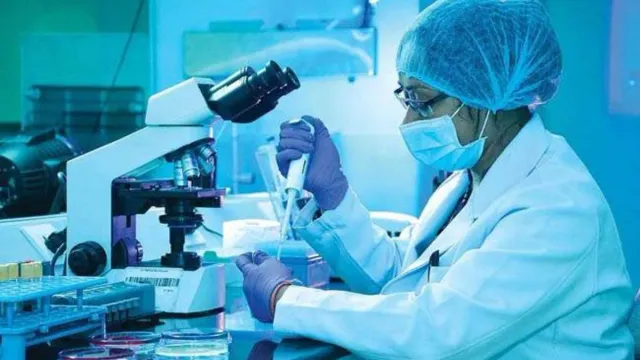 डीफार्मा में प्रवेश के लिए 25 सितंबर से शुरू होगी काउंसलिंग, जेईईसीयूपी पोर्टल पर शेड्यूल जारी - dpharma admissions 202627 online counseling starts sept 25