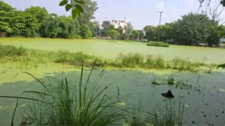 लोनी का बदहाल पार्क।