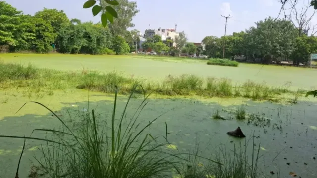 ऑक्सीजन देने की जगह सांसों पर संकट बन रहा लोनी का बदहाल पार्क
