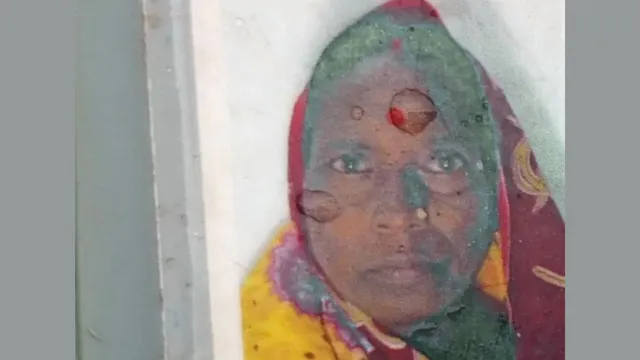 जमुई में मधुमक्खियों ने महिला की जान, पति गंभीर रूप से घायल
