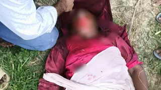 पश्चिम चंपारण जिले के बगहा में बाघ के हमले में महिला की मौत।
