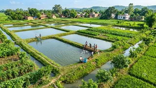 बंजर जमीन से होगी बंपर कमाई: तालाब निर्माण पर बिहार सरकार दे रही 50% अनुदान