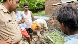 News Article Hero Image