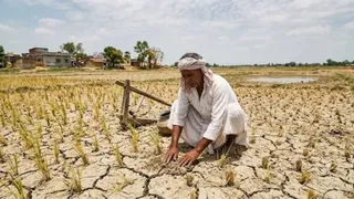 देश में मानसूनी बारिश सामान्य से 15% कम दर्ज हुई।