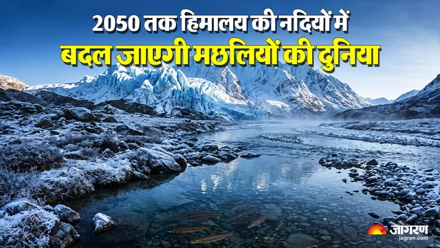 2050 तक हिमालय की नदियों में बदल जाएगी मछलियों की दुनिया, घट जाएंगी विशिष्ट प्रजातियां