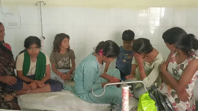 कोडरमा में करम डाल विसर्जन के लिए नदी पहुंचे थे ग्रामीण, अचानक भंवरों ने बोला हमला; बच्चों समेत दर्जनों लोग घायल