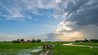 उत्तर प्रदेश से मानसून की वापसी शुरू, अक्टूबर के पहले सप्ताह तक पूर्वांचल से विदाई।
