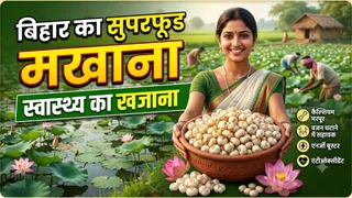 सुपरफूड मखाना: स्वास्थ्य का खजाना, वजन घटाने और बीमारियों से लड़ने में सहायक