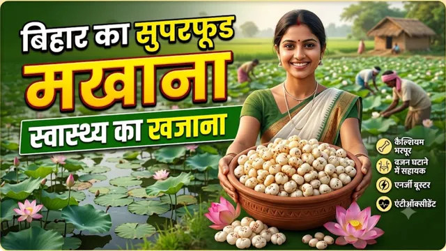 स्वाद भी, सेहत भी: डाइट में आज ही शामिल करें मुट्ठी भर मखाना, कंट्रोल रहेगा ब्लड शुगर और कोलेस्ट्रॉल