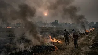 सर्दियों पर अल-नीनो का साया (AI जेनरेटेड फोटो)