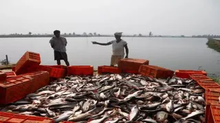 फिश फीड पर 50% या ₹25 प्रति किलो तक अनुदान।