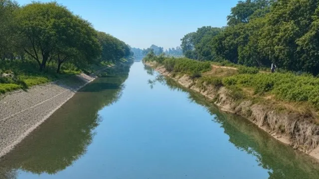 पलवल में नहरों के जहरीले पानी से खेतों में पहुंच रहे भारी धातु, इंडस्ट्रियल तरक्की के बीच 100 गांवों पर कैंसर का खतरा
