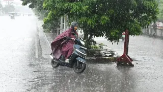 प्रतीकात्मक फोटो
