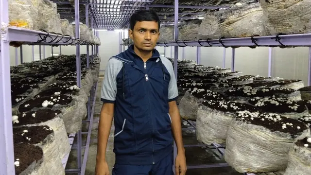 नौकरी का इंतजार छोड़ YouTube से सीखा मशरूम उत्पादन, भोजपुर के युवक ने गांव में बना डाली आधुनिक यूनिट
