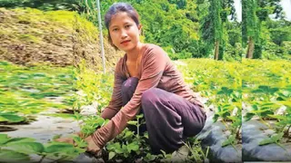 मिजोरम की महिला किसान को यूएन का खाद्य और कृषि संगठन पुरस्कार मिलेगा