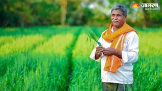 प्रधानमंत्री फसल बीमा योजना किसानों के लिए वरदान