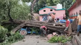 सड़क पर गिरा विशालकाय पेड़। फोटो जागरण