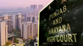 पंजाब-हरियाणा हाई कोर्ट फाइल फोटो