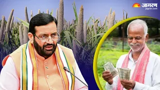 हरियाणा के बाजरा किसानों की बल्ले-बल्ले (जागरण ग्राफिक्स)