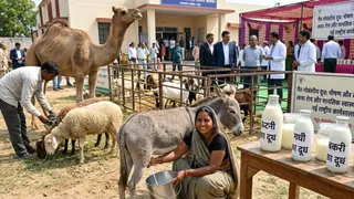 प्रतीकात्मक प्रस्तुतीकरण के लिए तस्वीर को एआई टूल की मदद से बनाया गया है।