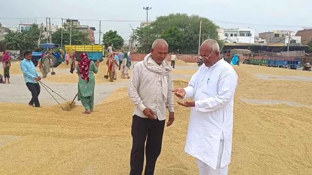 बासमती धान से गुलजार हुई पानीपत मंडी, 4171 रुपये प्रति क्विंटल पहुंचा भाव


