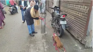 महापौर के घर के बाहर कुत्ता। फोटो जागरण