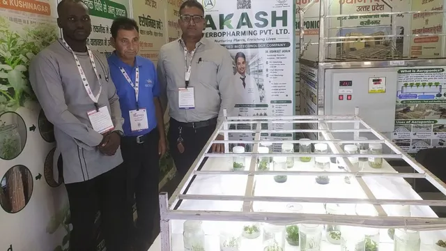 टिश्यू कल्चर से तैयार आलू और केले की पौध छाई, यूपी ट्रेड शो में विदेशियों को आईं पसंद