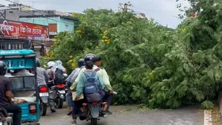 अर्नब चक्रवात का यूपी में भीषण असर: भारी बारिश, तूफान और फसलें बर्बाद।