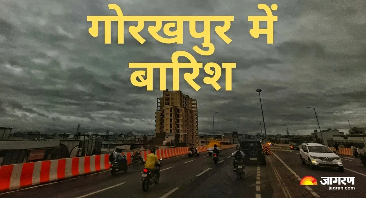 barishgkp_ (2)