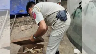कंकाल की जांच करता पुलिस वाला। फोटो: एएनआई