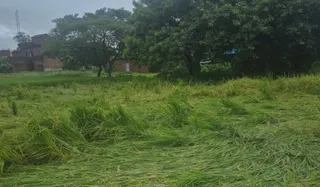 चक्रवाती तूफान 'अर्नब' से फसल नुकसान: मीरजापुर के किसान 14447 पर करें शिकायत।