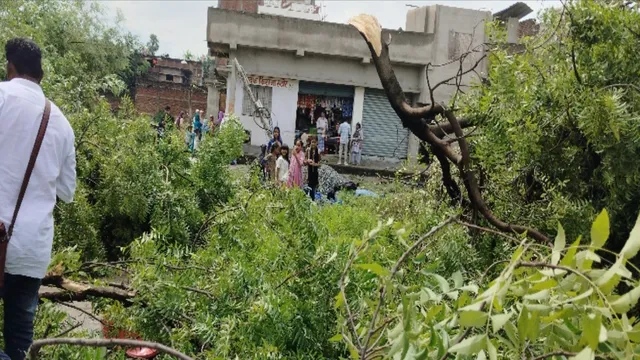 Bihar Weather: कुछ मिनट की तूफानी हवा और मच गई तबाही: गया में छप्पर उड़े, पेड़ गिरे, बिजली पोल टूटे
