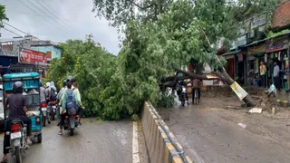 वाराणसी में तेज हवा से गिरा पेड़, भोजूबीर-सिंधोरा मार्ग पर लगा भीषण जाम।
