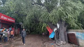 हाईवे समेत अन्य स्थानों पर 5500 पेड़ गिरे।