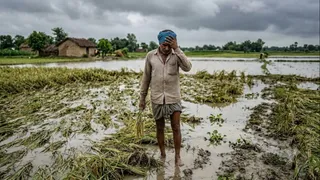 इस फोटो को एआई टूल की मदद से बनाया गया है।