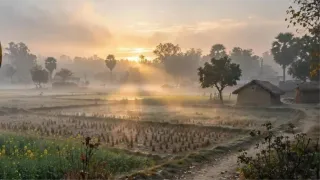 आरा में सूर्योदय। फाइल फोटो