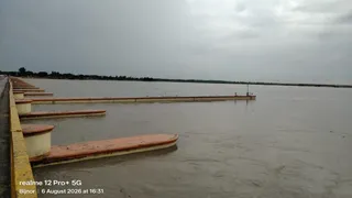भीमगौड़ा बैराज से पानी छोड़े जाने पर बिजनौर में उफनी गंगा की धारा। जागरण