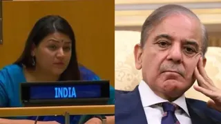 संयुक्त राष्ट्र में भारत ने पाकिस्तान को लताड़ा(फाइल फोटो)