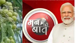 प्रधानमंत्री मोदी ने 'मन की बात' में आंवला उद्योग में प्रतापगढ़ के योगदान की चर्चा की।