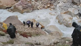 News Article Hero Image